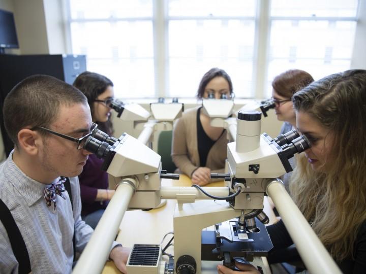 A group of students looking into the microscope in a classroom setting